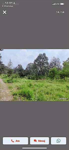 18500 Mkare Yatırımlık Su Yol Var Orman A Sıfır — fotoğraf 19