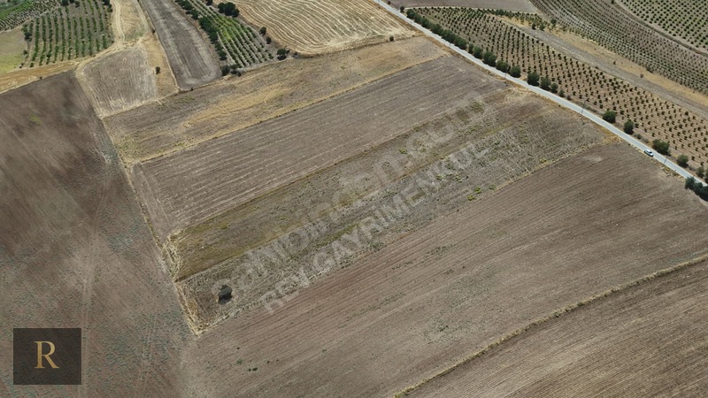 (rev) Yatırıma Uygun Yola 0 11 Dönüm Göl Manzaralı Arsa — fotoğraf 6