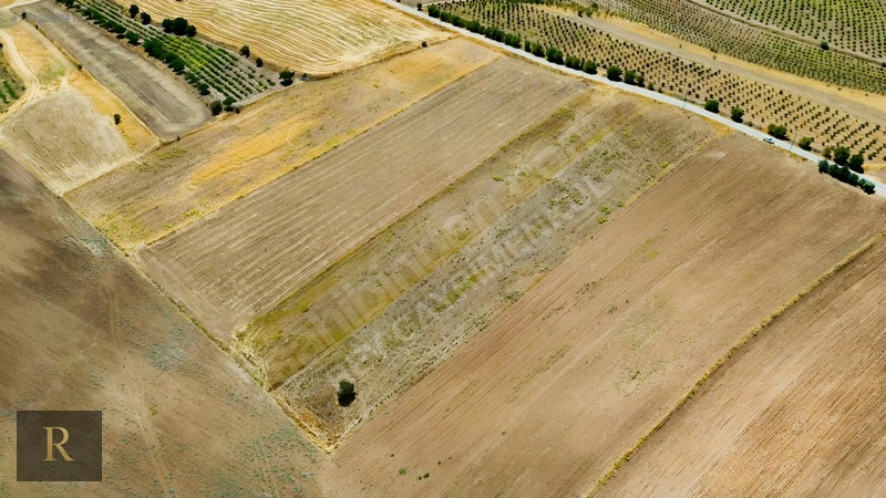 (rev) Yatırıma Uygun Yola 0 11 Dönüm Göl Manzaralı Arsa — fotoğraf 16