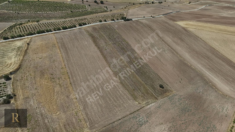 (rev) Yatırıma Uygun Yola 0 11 Dönüm Göl Manzaralı Arsa — fotoğraf 17