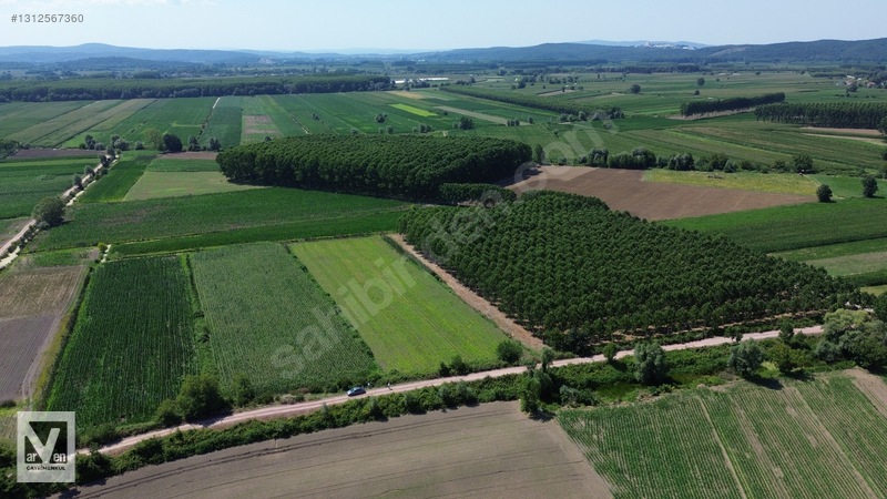 Kavaklıorman Köyünde Resmi Yolu Olan Satılık Fırsat Arazi — fotoğraf 5