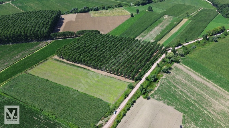 Kavaklıorman Köyünde Resmi Yolu Olan Satılık Fırsat Arazi — fotoğraf 7