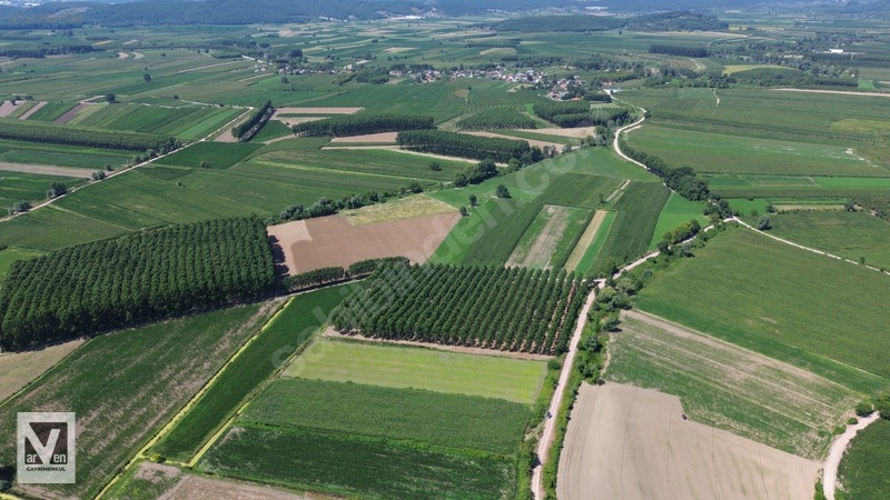 Kavaklıorman Köyünde Resmi Yolu Olan Satılık Fırsat Arazi — fotoğraf 8