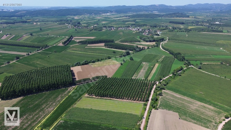Kavaklıorman Köyünde Resmi Yolu Olan Satılık Fırsat Arazi — fotoğraf 9
