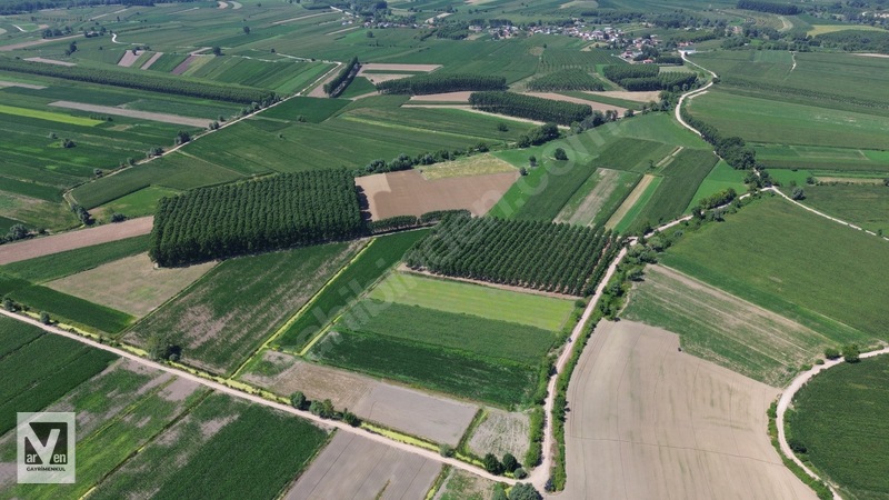 Kavaklıorman Köyünde Resmi Yolu Olan Satılık Fırsat Arazi — fotoğraf 10