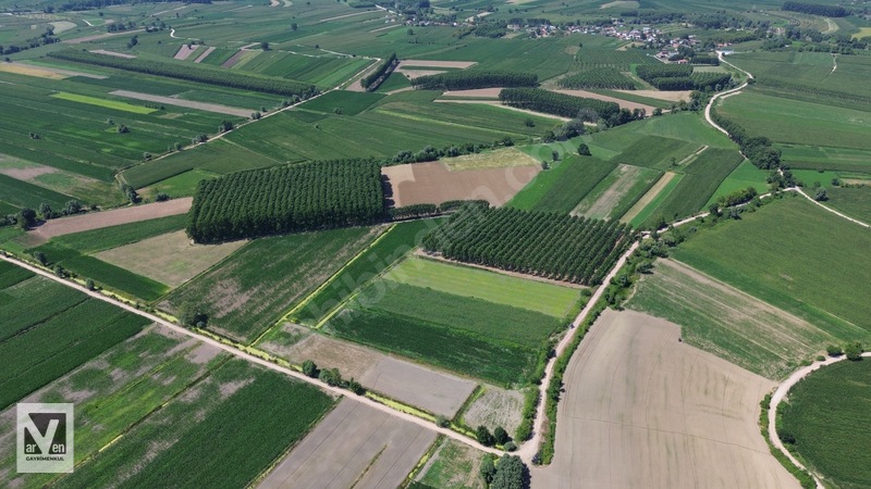 Kavaklıorman Köyünde Resmi Yolu Olan Satılık Fırsat Arazi — fotoğraf 11