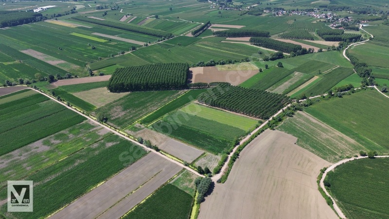 Kavaklıorman Köyünde Resmi Yolu Olan Satılık Fırsat Arazi — fotoğraf 13