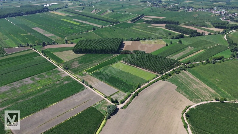 Kavaklıorman Köyünde Resmi Yolu Olan Satılık Fırsat Arazi — fotoğraf 14