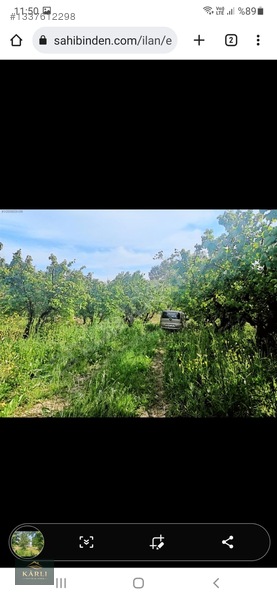Pamukova Turgutluda Kadastral Yollu 941 M² Satılık Tarla — fotoğraf 5