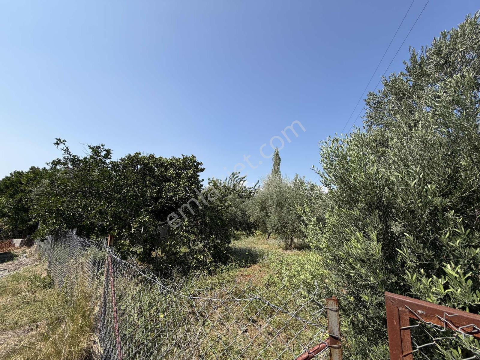 Yeşilpınarda İmarlı, Hazır Altyapılı 398 M² Fırsat Arsa!