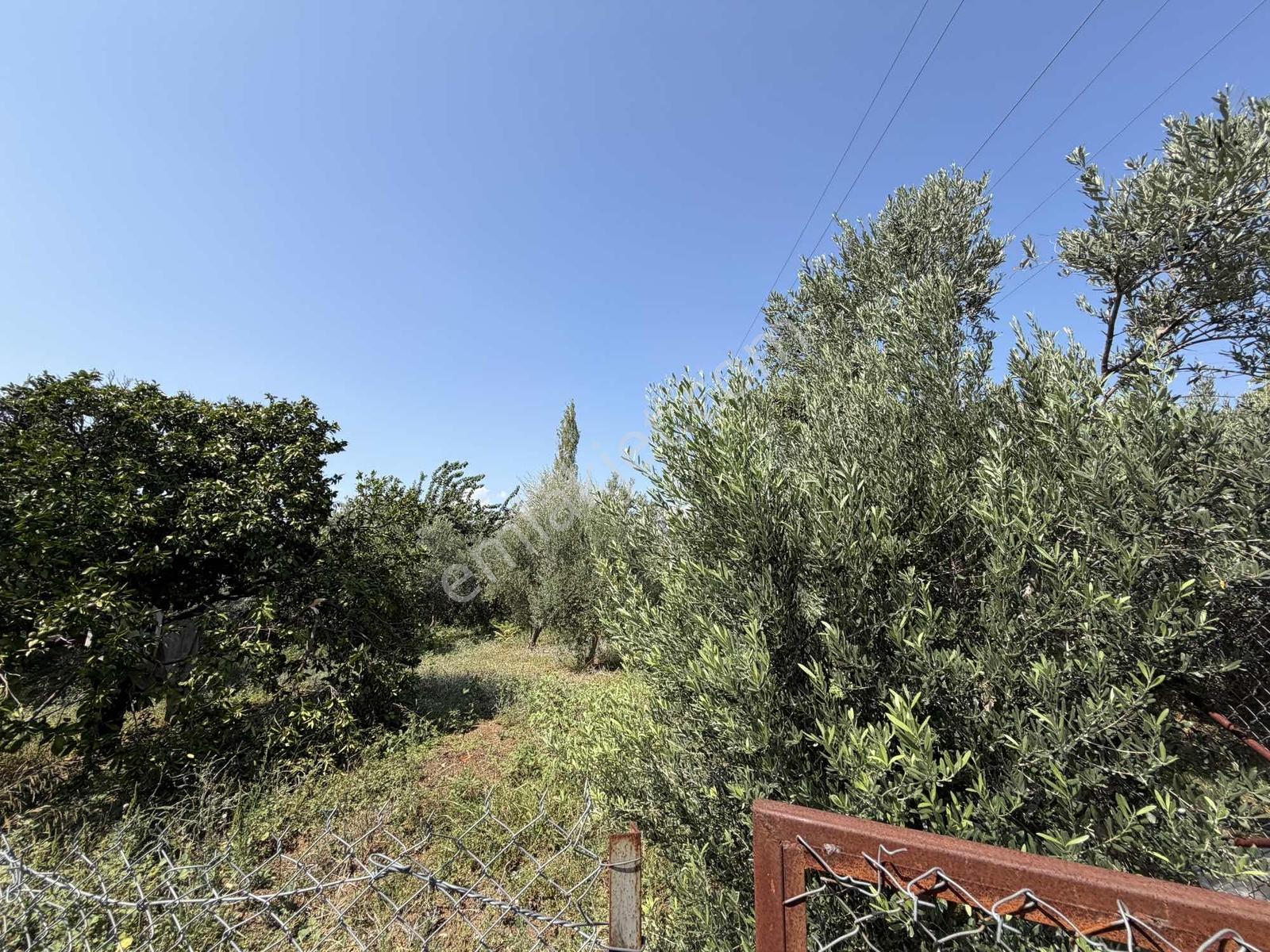 Yeşilpınarda İmarlı, Hazır Altyapılı 398 M² Fırsat Arsa! — fotoğraf 2