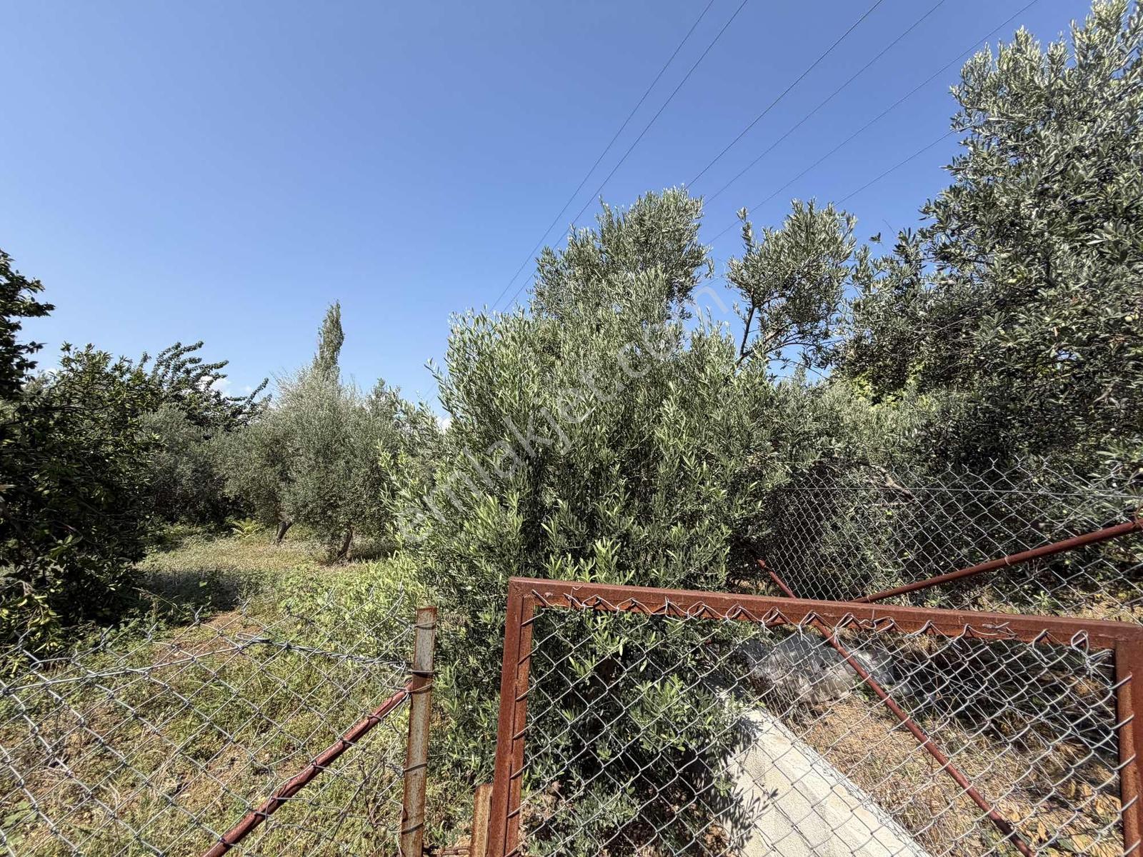 Yeşilpınarda İmarlı, Hazır Altyapılı 398 M² Fırsat Arsa! — fotoğraf 8