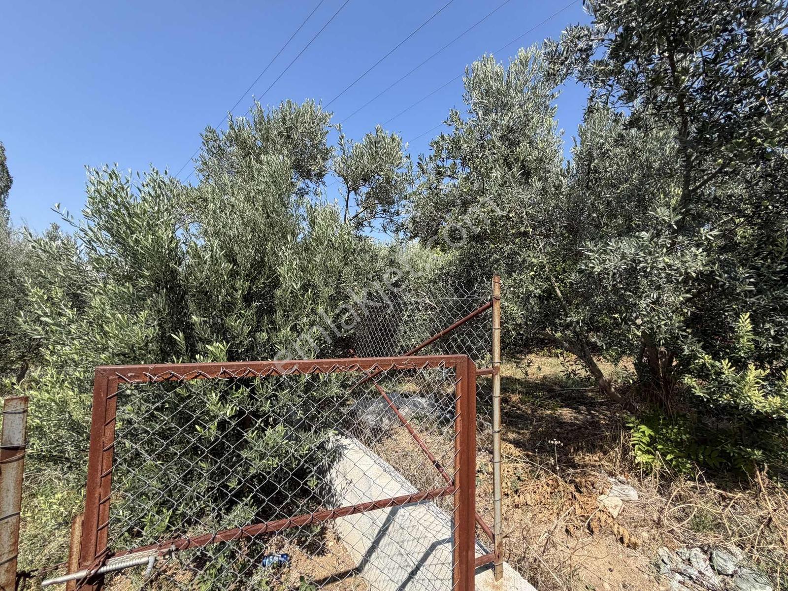 Yeşilpınarda İmarlı, Hazır Altyapılı 398 M² Fırsat Arsa! — fotoğraf 9