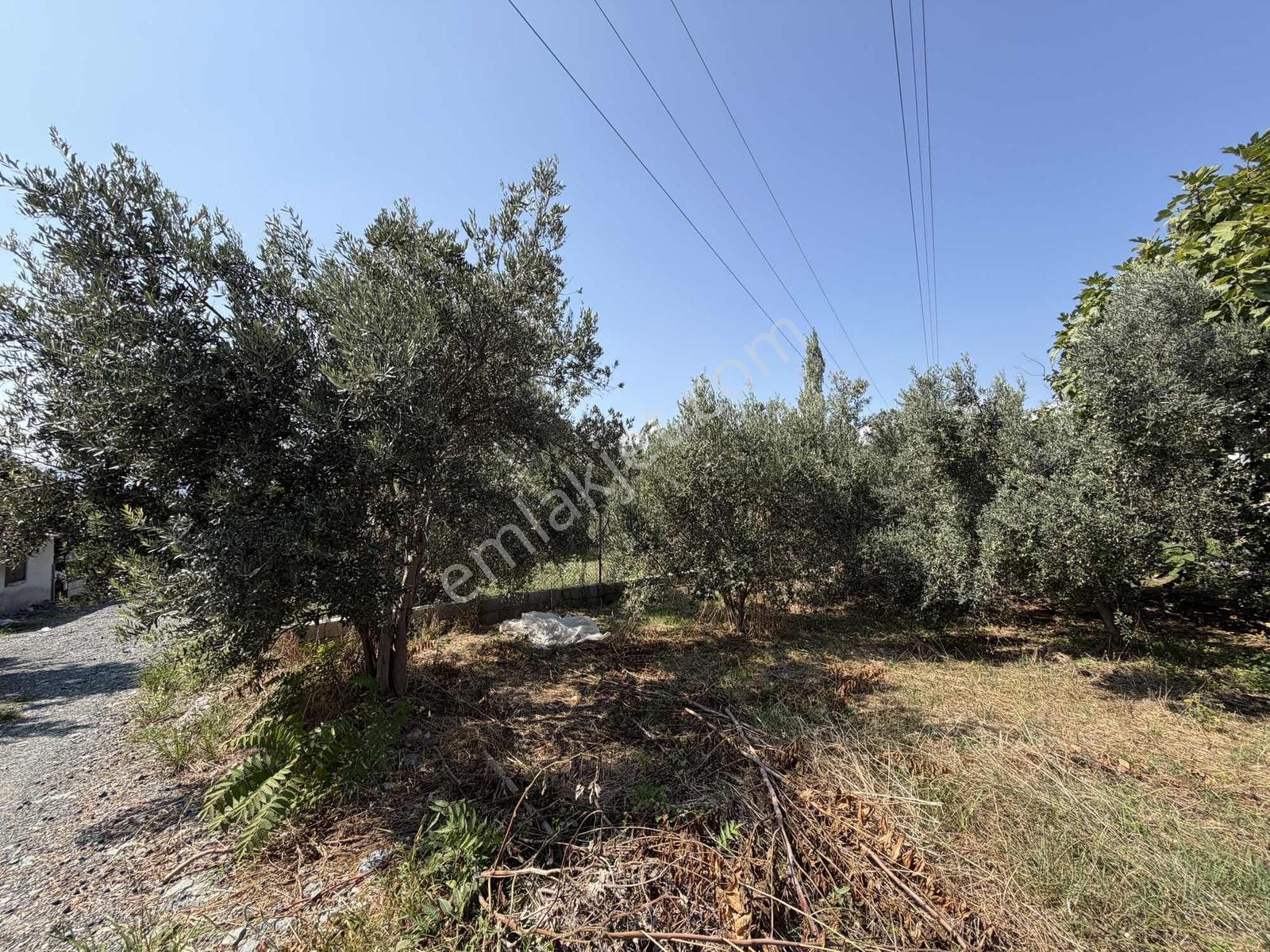 Yeşilpınarda İmarlı, Hazır Altyapılı 398 M² Fırsat Arsa! — fotoğraf 14