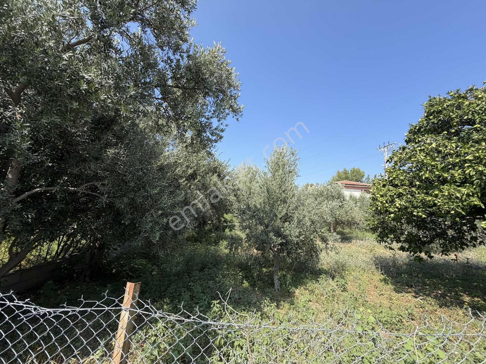 Yeşilpınarda İmarlı, Hazır Altyapılı 398 M² Fırsat Arsa! — fotoğraf 16