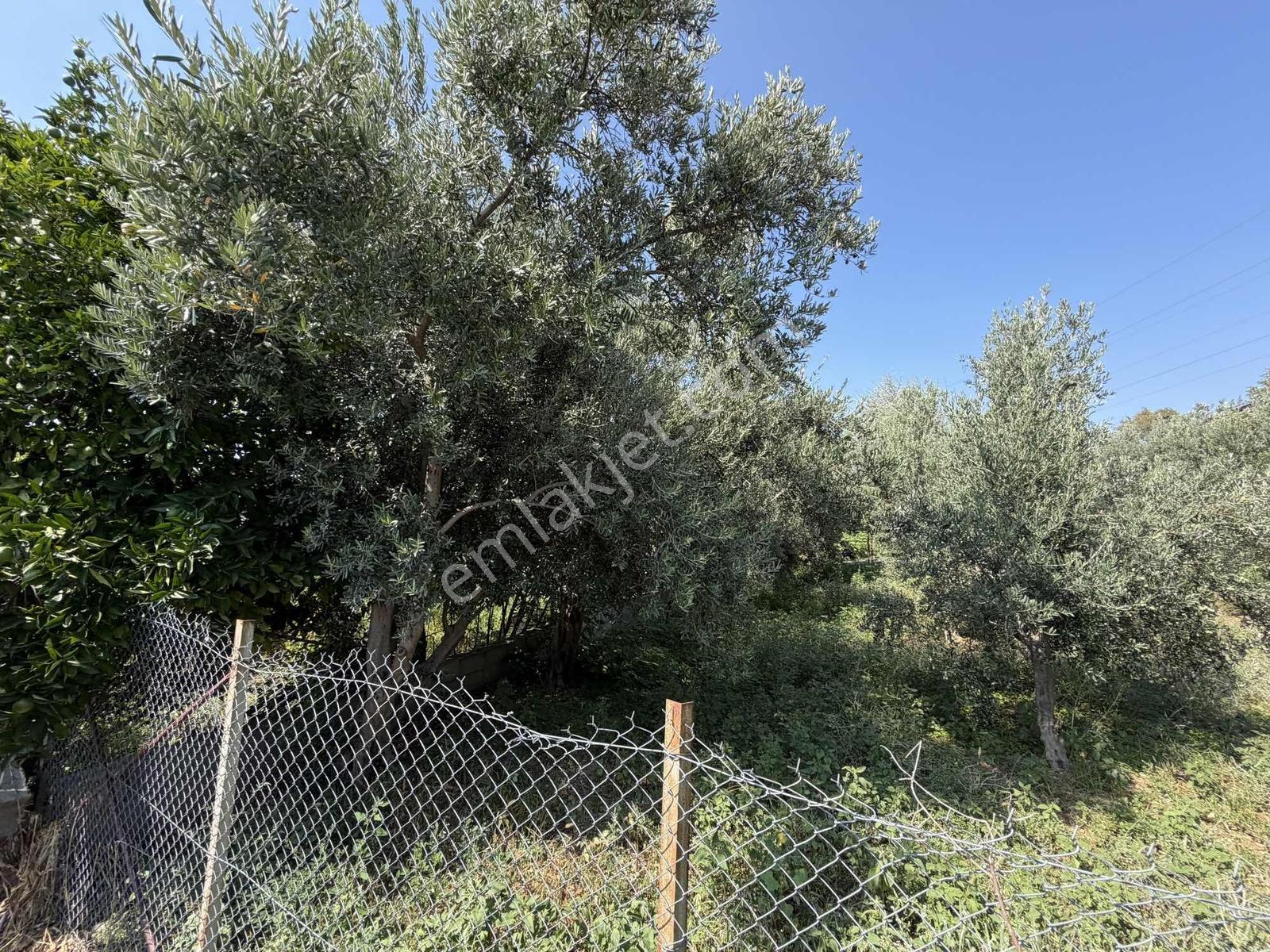 Yeşilpınarda İmarlı, Hazır Altyapılı 398 M² Fırsat Arsa! — fotoğraf 17