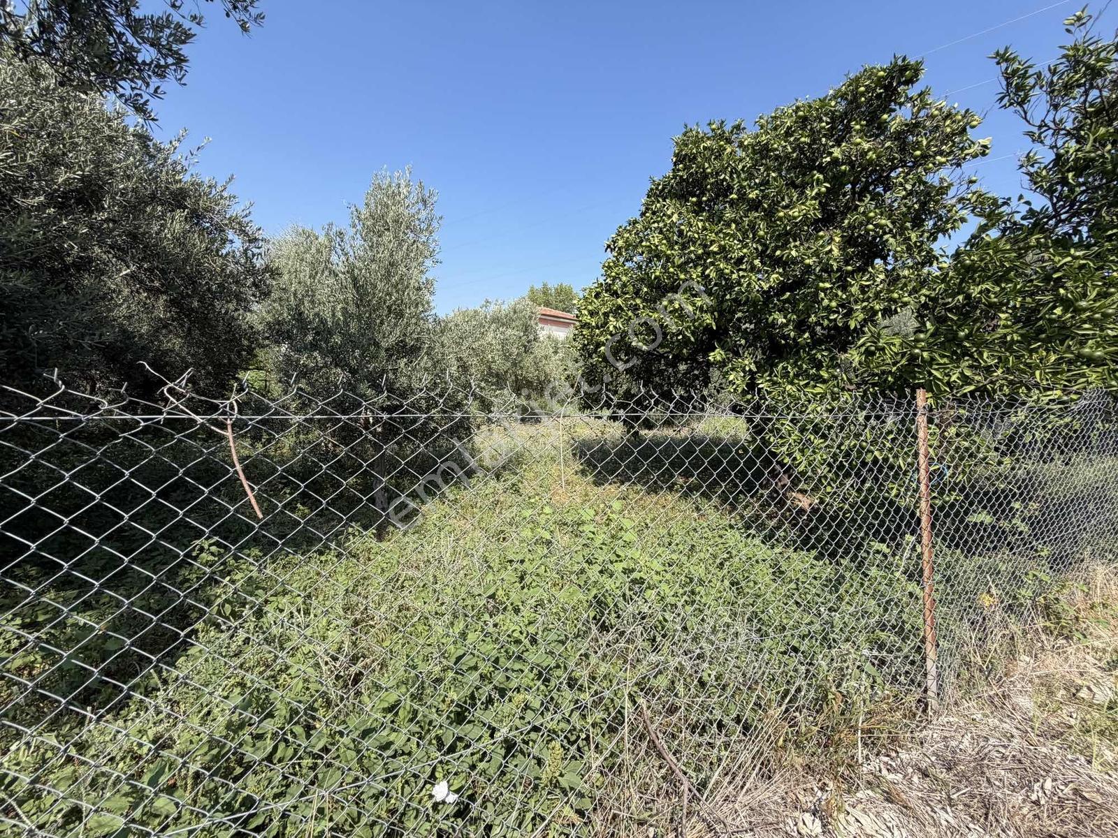 Yeşilpınarda İmarlı, Hazır Altyapılı 398 M² Fırsat Arsa! — fotoğraf 18