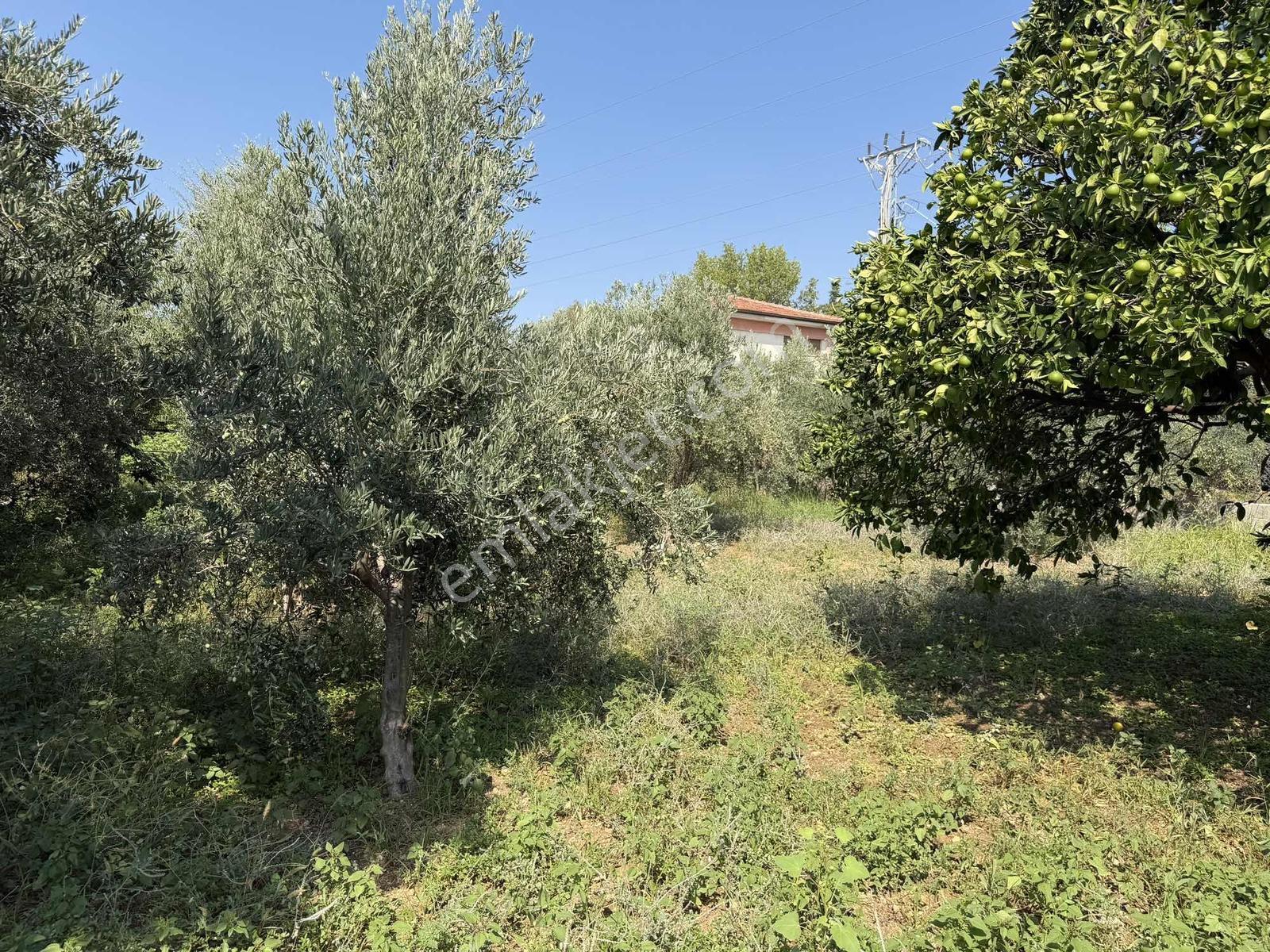 Yeşilpınarda İmarlı, Hazır Altyapılı 398 M² Fırsat Arsa! — fotoğraf 20