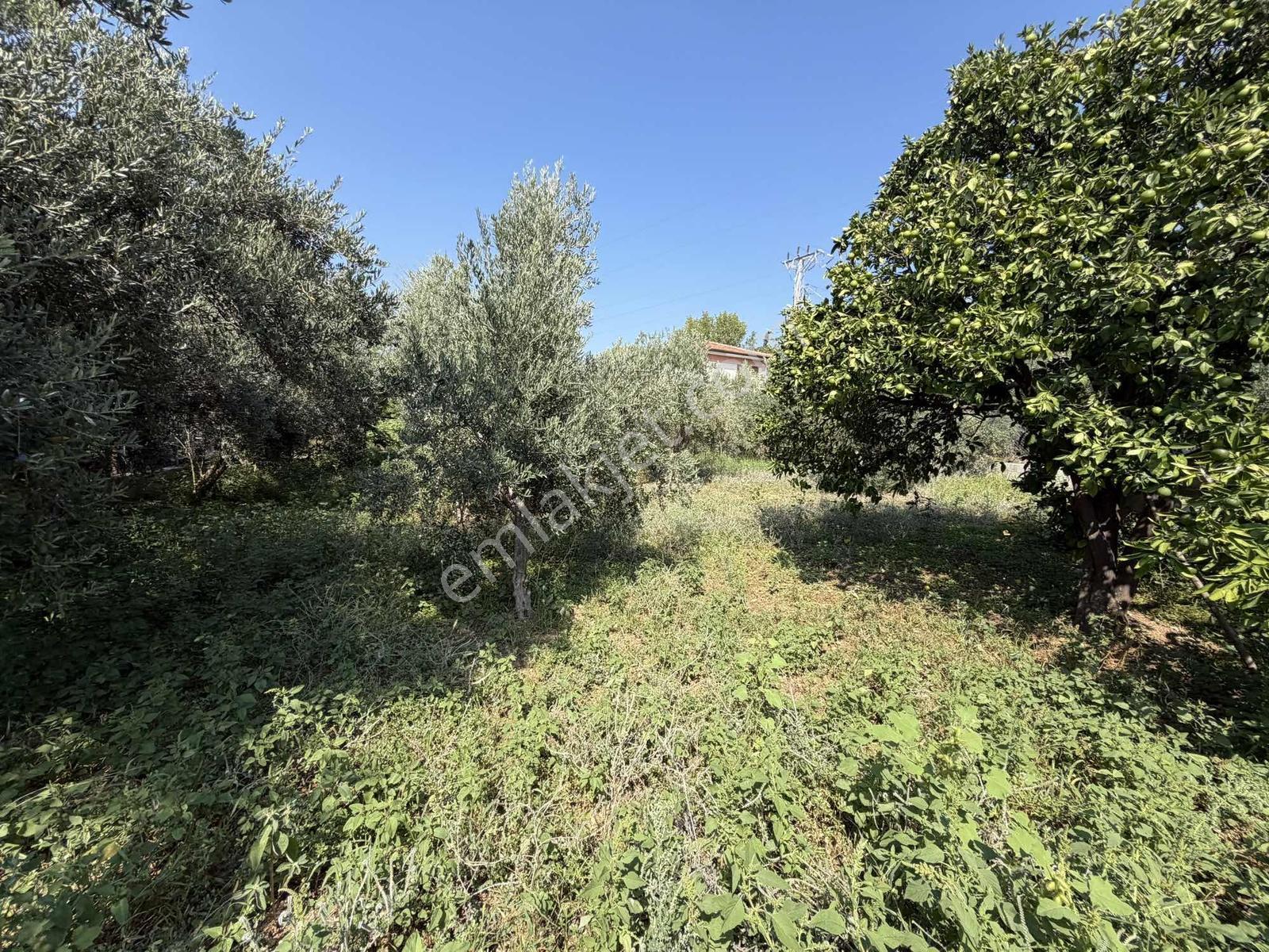 Yeşilpınarda İmarlı, Hazır Altyapılı 398 M² Fırsat Arsa! — fotoğraf 21