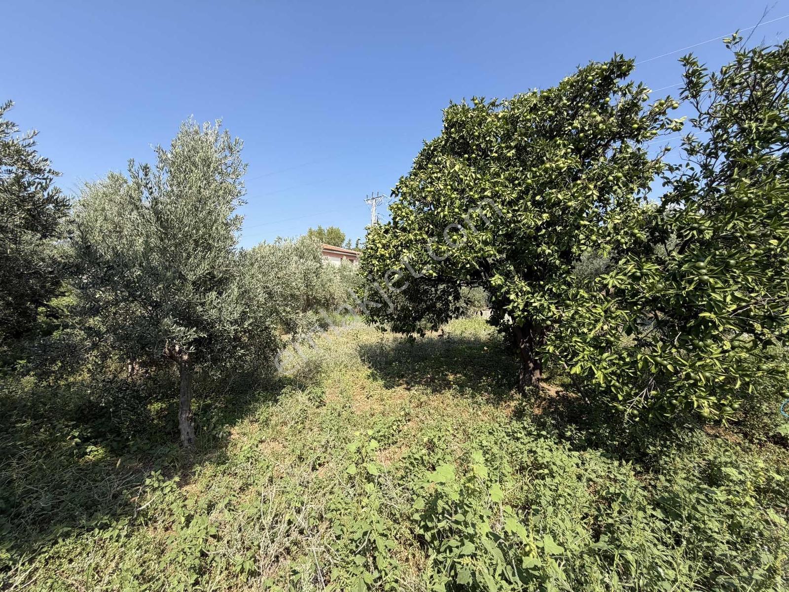 Yeşilpınarda İmarlı, Hazır Altyapılı 398 M² Fırsat Arsa! — fotoğraf 22