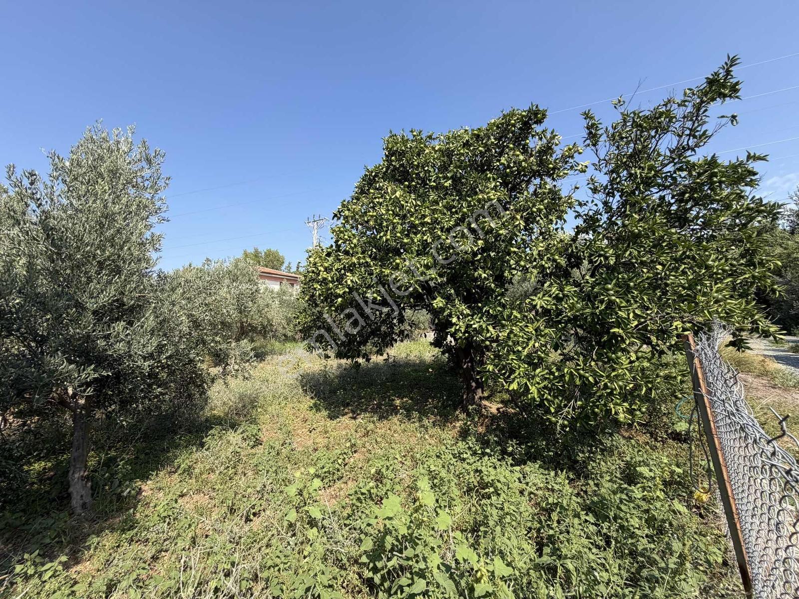 Yeşilpınarda İmarlı, Hazır Altyapılı 398 M² Fırsat Arsa! — fotoğraf 23