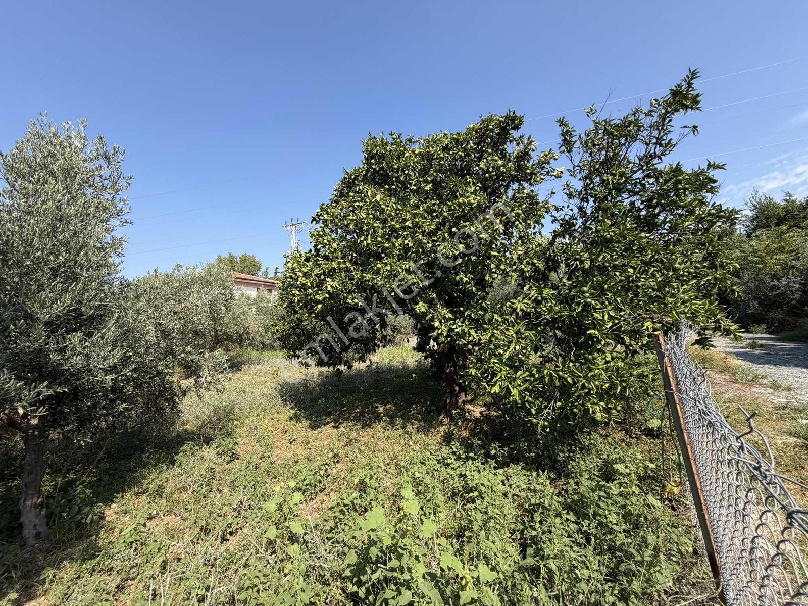 Yeşilpınarda İmarlı, Hazır Altyapılı 398 M² Fırsat Arsa! — fotoğraf 24