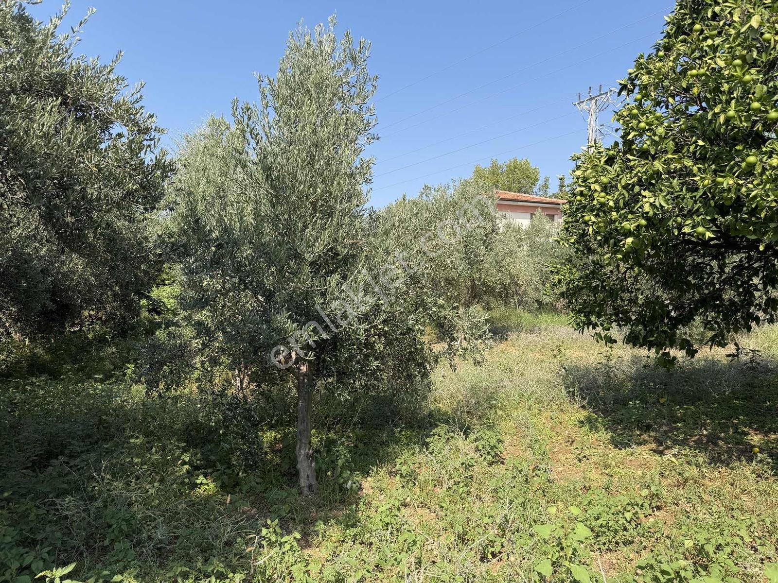 Yeşilpınarda İmarlı, Hazır Altyapılı 398 M² Fırsat Arsa! — fotoğraf 25