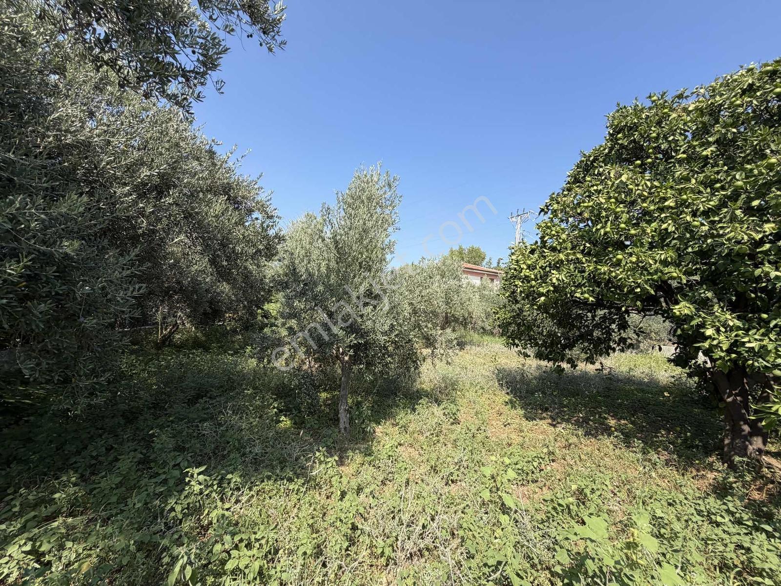 Yeşilpınarda İmarlı, Hazır Altyapılı 398 M² Fırsat Arsa! — fotoğraf 26