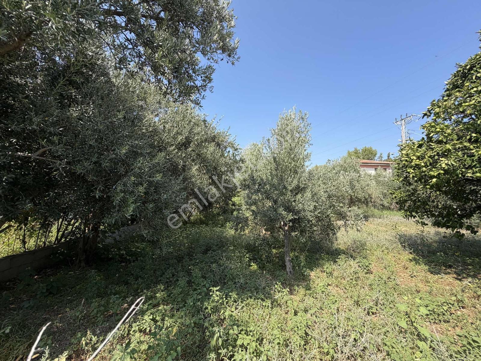 Yeşilpınarda İmarlı, Hazır Altyapılı 398 M² Fırsat Arsa! — fotoğraf 27