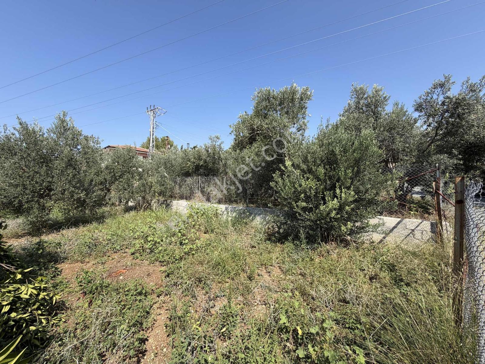 Yeşilpınarda İmarlı, Hazır Altyapılı 398 M² Fırsat Arsa! — fotoğraf 28