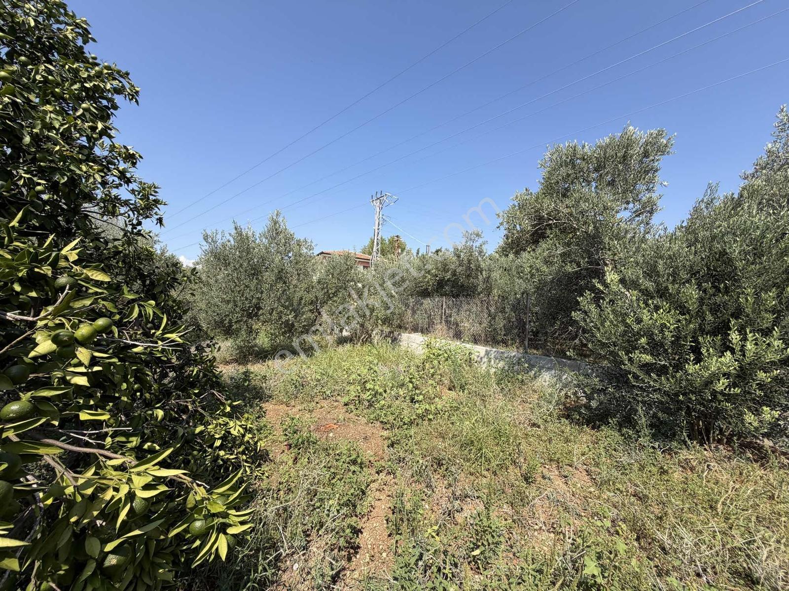 Yeşilpınarda İmarlı, Hazır Altyapılı 398 M² Fırsat Arsa! — fotoğraf 29