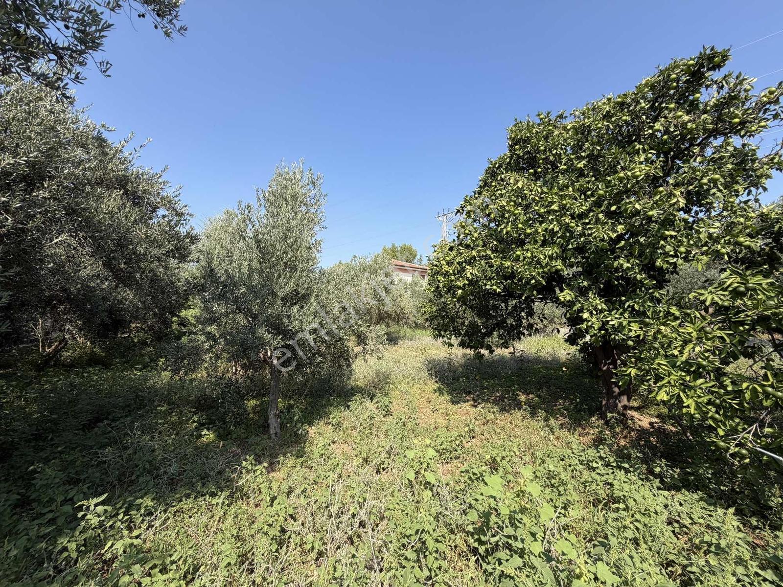 Yeşilpınarda İmarlı, Hazır Altyapılı 398 M² Fırsat Arsa! — fotoğraf 31