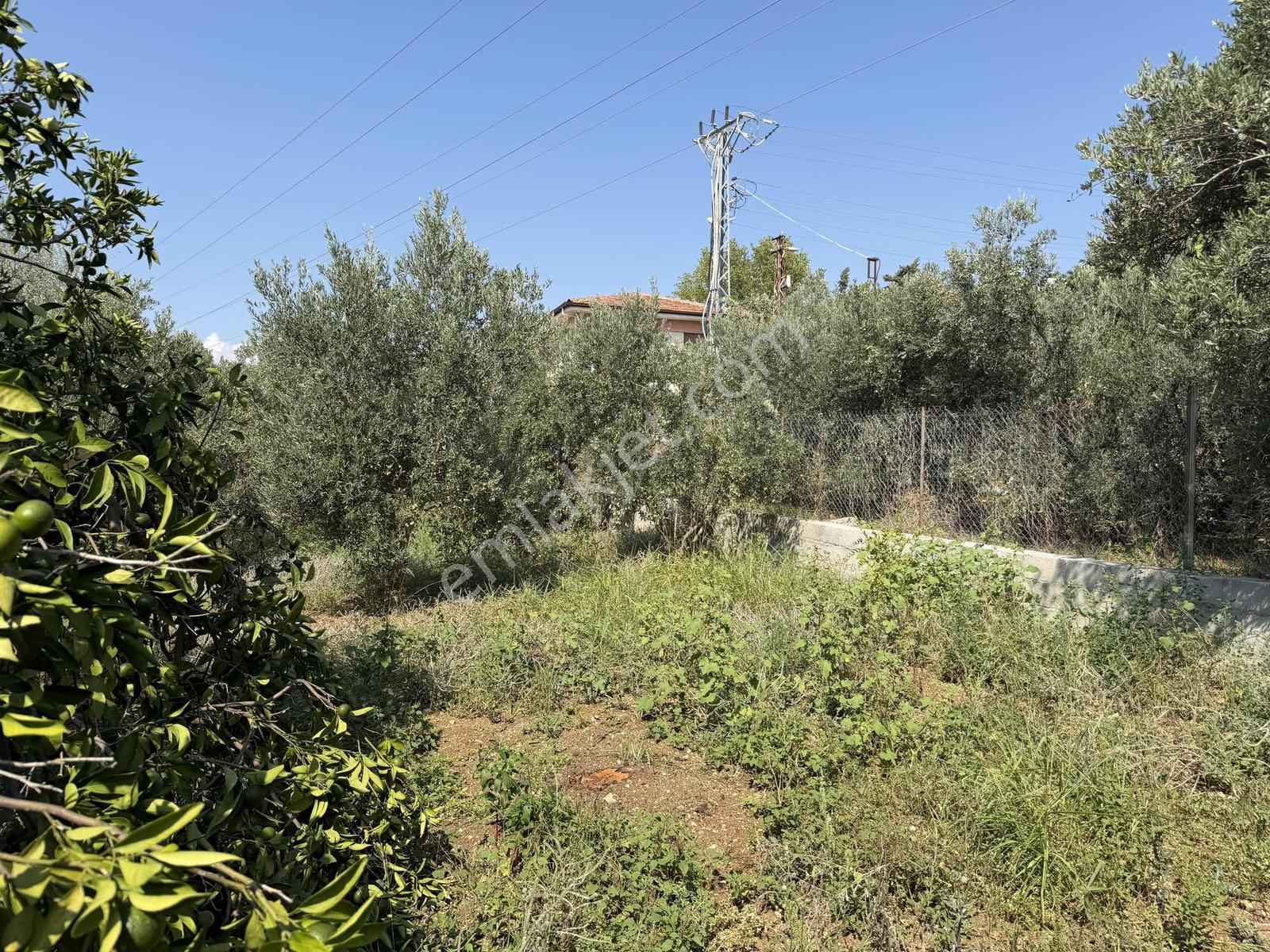Yeşilpınarda İmarlı, Hazır Altyapılı 398 M² Fırsat Arsa! — fotoğraf 32