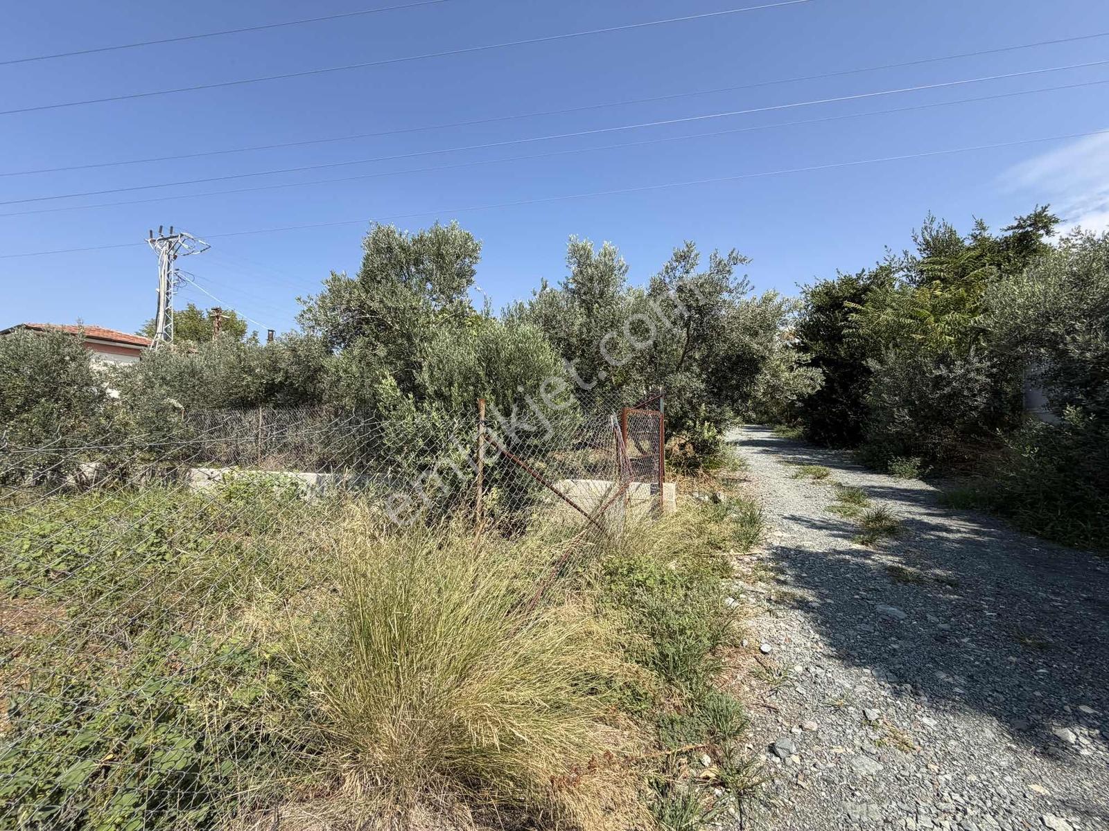 Yeşilpınarda İmarlı, Hazır Altyapılı 398 M² Fırsat Arsa! — fotoğraf 33