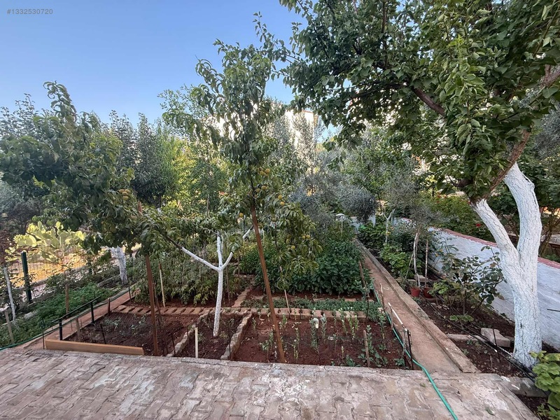 Didim Akbük De Müstakil Bahçeli Masrafsız — fotoğraf 9