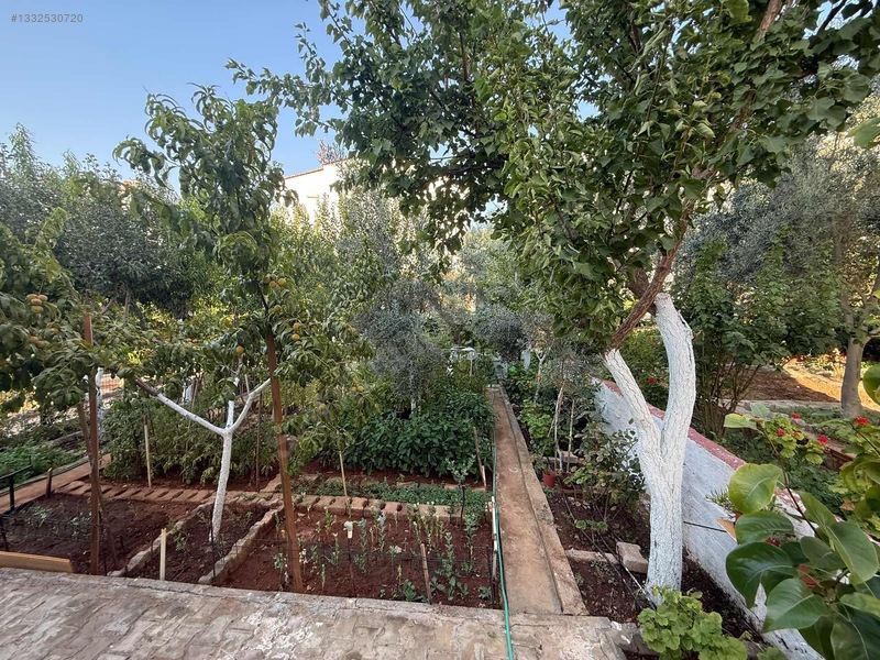 Didim Akbük De Müstakil Bahçeli Masrafsız — fotoğraf 17