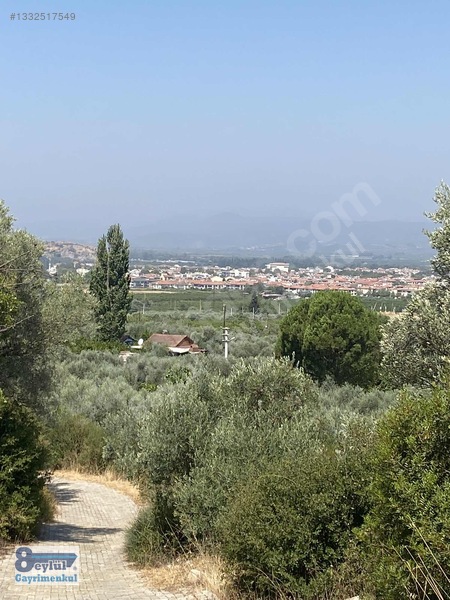 Selçuk Efes Abuhayat'Ta Satılık 30 Dönüm Arazi