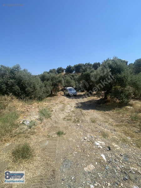 Selçuk Efes Abuhayat'ta Satılık 30 Dönüm Arazi — fotoğraf 2