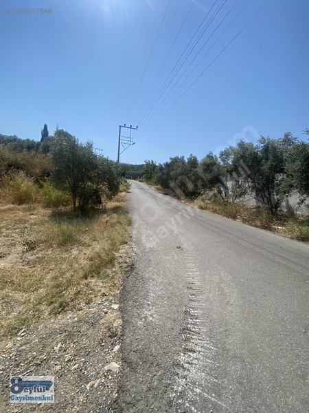Selçuk Efes Abuhayat'ta Satılık 30 Dönüm Arazi — fotoğraf 4