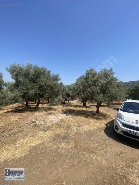 Selçuk Efes Abuhayat'ta Satılık 30 Dönüm Arazi — fotoğraf 6