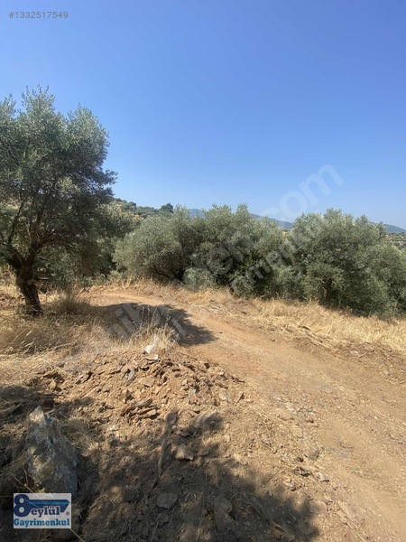 Selçuk Efes Abuhayat'ta Satılık 30 Dönüm Arazi — fotoğraf 9