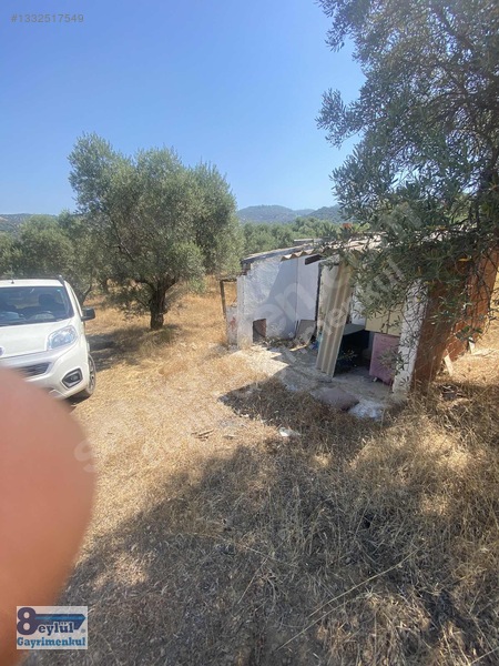 Selçuk Efes Abuhayat'ta Satılık 30 Dönüm Arazi — fotoğraf 11