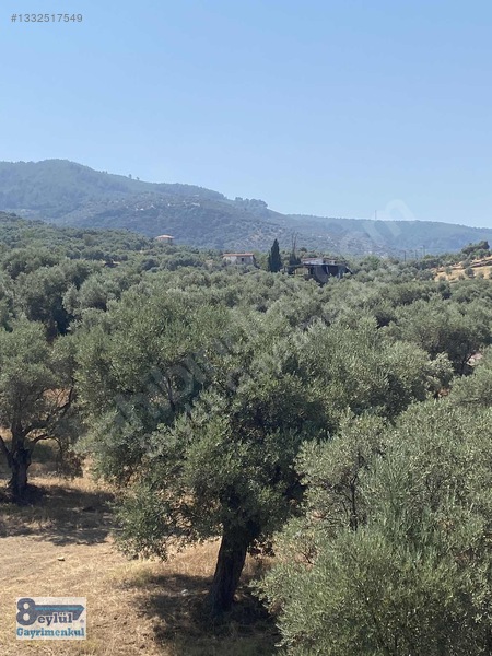 Selçuk Efes Abuhayat'ta Satılık 30 Dönüm Arazi — fotoğraf 12