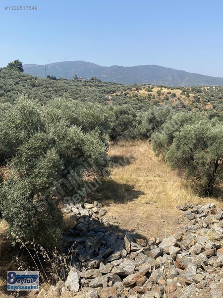 Selçuk Efes Abuhayat'ta Satılık 30 Dönüm Arazi — fotoğraf 15