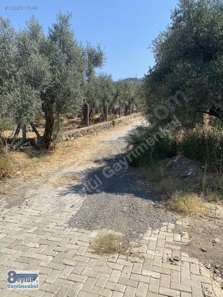 Selçuk Efes Abuhayat'ta Satılık 30 Dönüm Arazi — fotoğraf 20