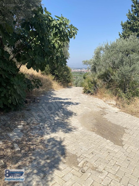 Selçuk Efes Abuhayat'ta Satılık 30 Dönüm Arazi — fotoğraf 21