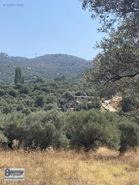 Selçuk Efes Abuhayat'ta Satılık 30 Dönüm Arazi — fotoğraf 31