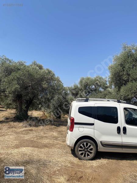 Selçuk Efes Abuhayat'ta Satılık 30 Dönüm Arazi — fotoğraf 33