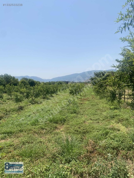 Selçuk Efes'Te Kale Arkasında Satılık 2.736 M2 Bahçe
