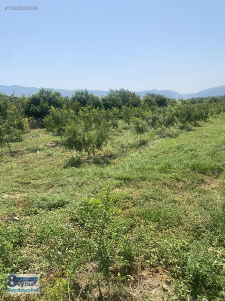 Selçuk Efes'te Kale Arkasında Satılık 2.736 M2 Bahçe — fotoğraf 4